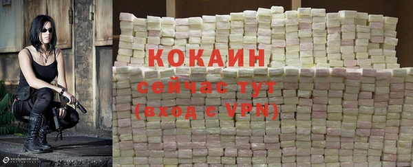 COCAINE Богородицк